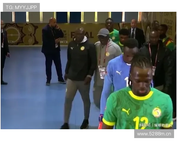 非洲杯争议判罚频发引发各方关注